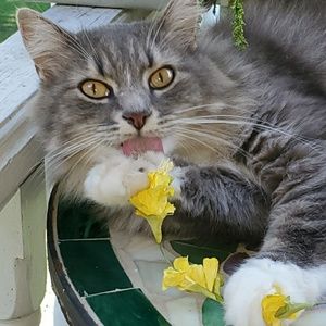 Meet your Posher, Maryann